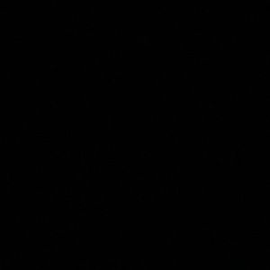 Meet your Posher, Tommiesha